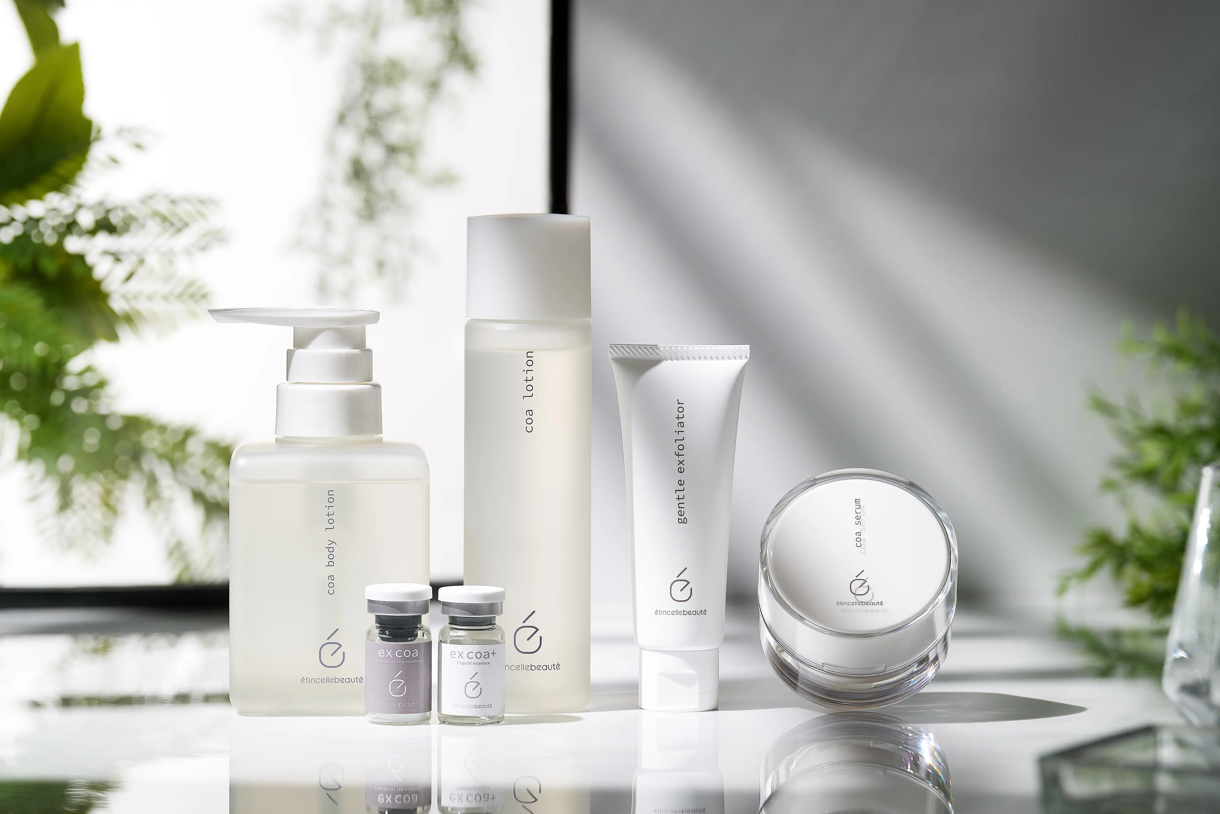 étincellebeauté
エタンセルボーテ