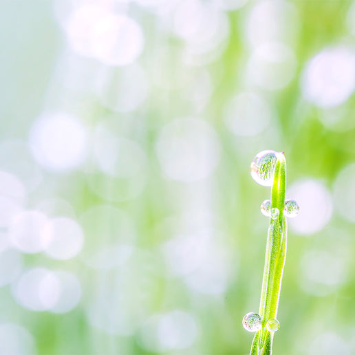 ブランドコンセプトのサブイメージ01